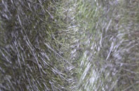 Lydcott fibreglass roof work